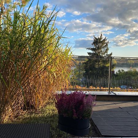Apartament Winnica Torun Bagian luar foto